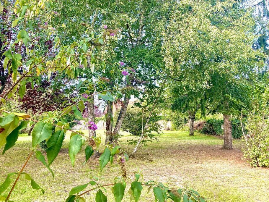 Demeure St Martin Villa Vierzon Dış mekan fotoğraf